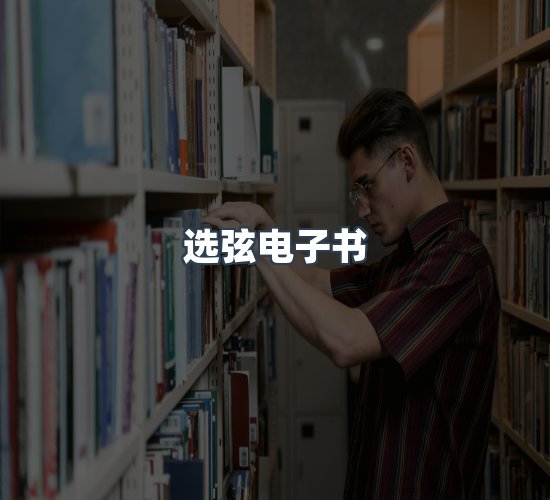 关于选弦电子书